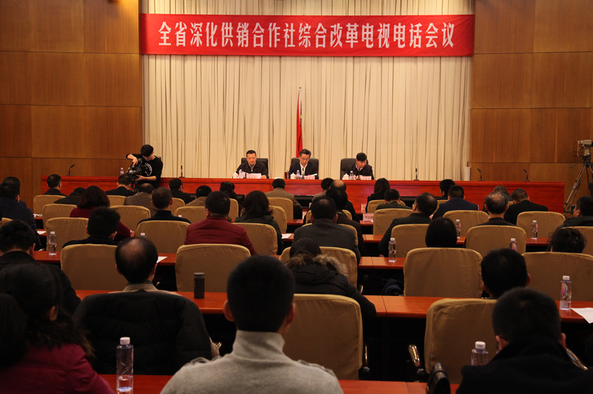 贯彻落实省委3号文件 全面推进供销合作社综合