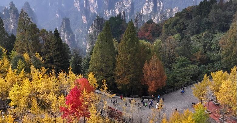 斑斓秋色引客来