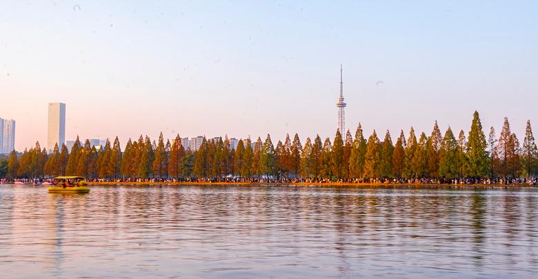 水杉渐红醉游人