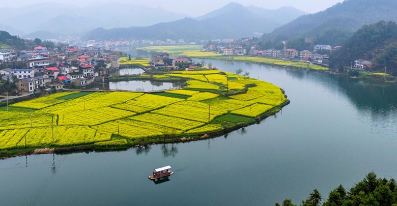 春到水乡 画里行舟