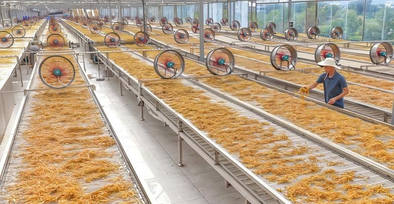 黄花菜铺出金色产业路
