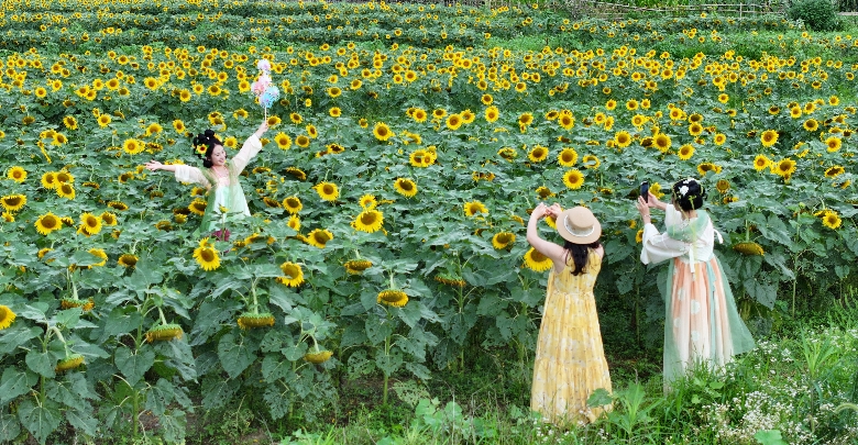 田园风光惹人醉