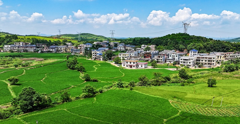 锦绣田园入画来
