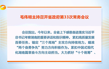 视频丨毛伟明主持召开省政府第33次常务...