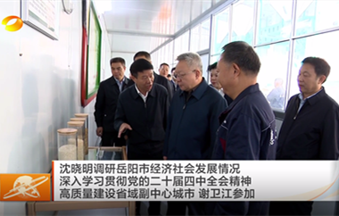 视频丨沈晓明调研岳阳市经济社会发展情...