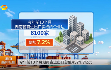 视频丨今年前10个月湖南省进出口总值43...