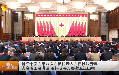 视频丨省红十字会第八次会员代表大会在...