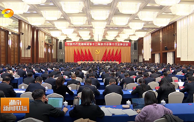 视频丨省委十二届十次全会暨省委经济工...