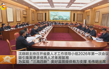 视频丨沈晓明主持召开省委人才工作领导...