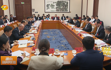 视频丨湖南代表团举行分组会议 审议全国...