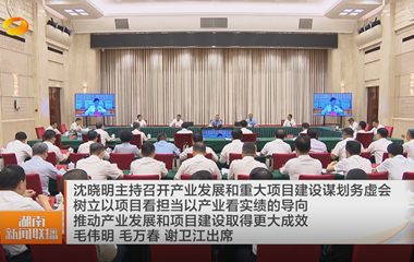 视频丨沈晓明主持召开产业发展和重大项...