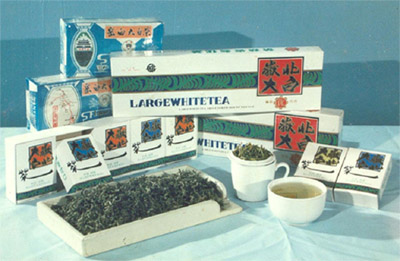 茶文化之：岳北大白茶---湖南特色特产茶叶(图1)