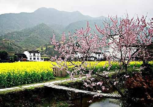 常德民俗踏青春游