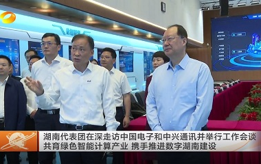 视频丨湖南代表团在深走访中国电子和中...