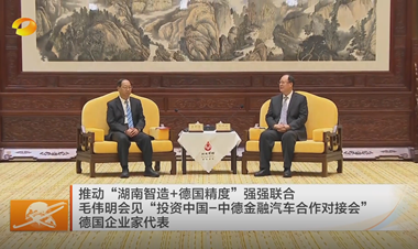 视频丨推动“湖南智造+德国精度”强强联...