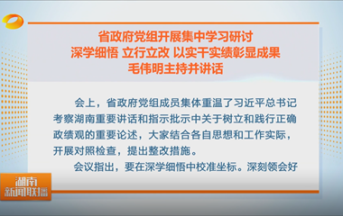 视频丨省政府党组开展集中学习研讨 深学...