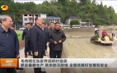 视频丨毛伟明在张家界调研时强调 抓实春...