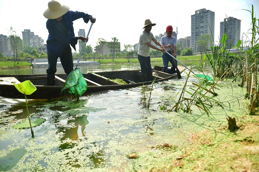 常德市城区新河水系综合整治如火如荼