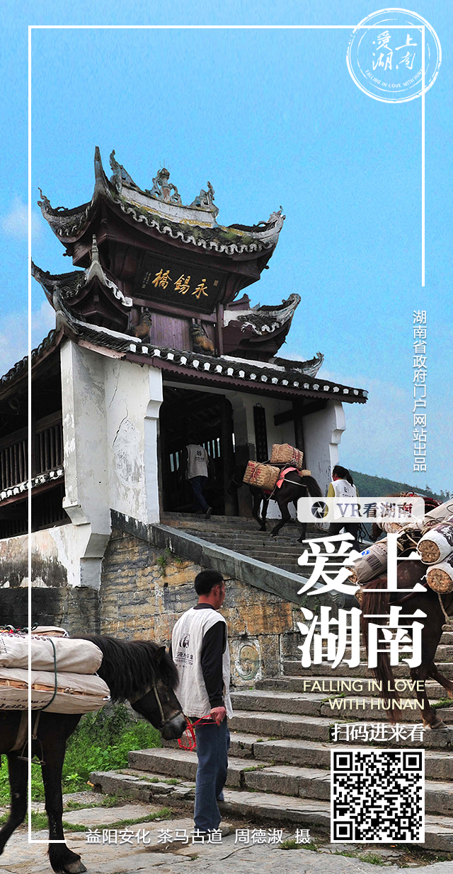 VR看湖南丨益阳安化·茶马古道