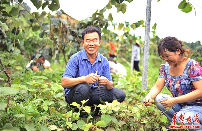 精准扶贫在三湘-王安全:敢为人先 昔日贫困村变