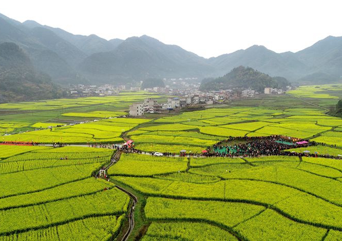 邵阳县河伯乡五皇村油菜基地