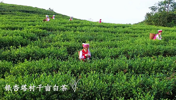 湖南特色文旅小镇｜绝色洪家关