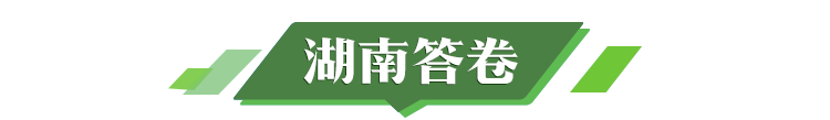 湖南答卷