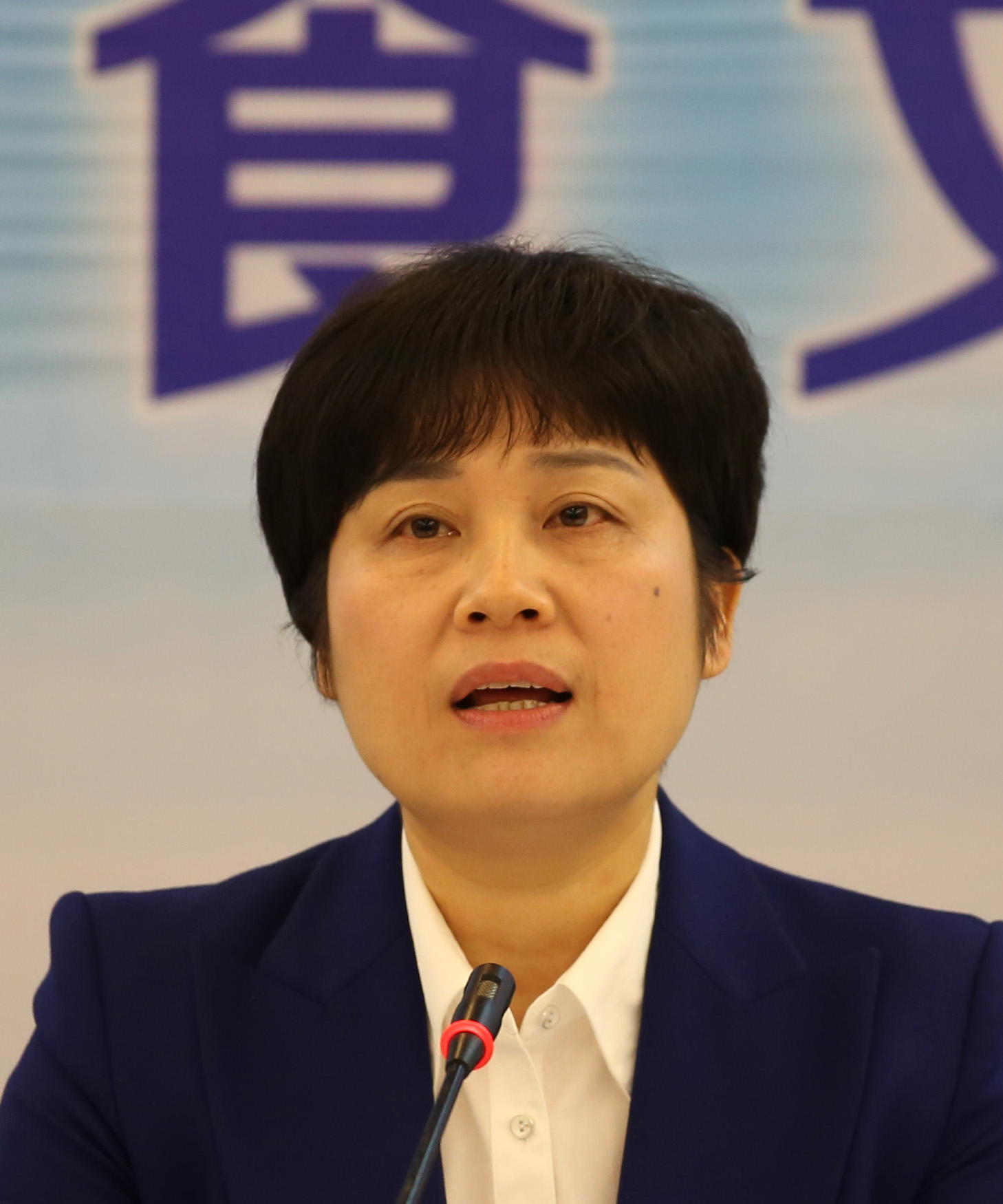 中国湖南(南县)首届国际涂鸦艺术节暨洞庭湖生态旅游美食文化节新闻