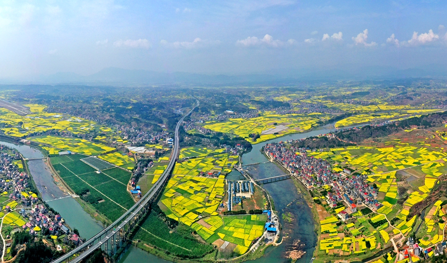 3月14日,溆浦县桥江镇,绚丽的油菜花海与村庄,远山,河流构成一幅美丽