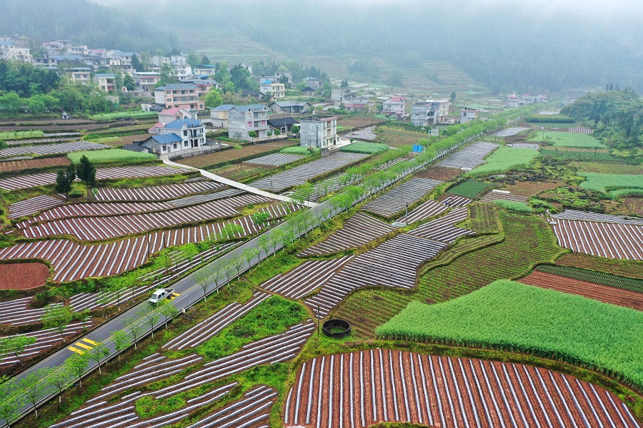 4月14日,龙山县洗洛镇小河村,春意盎然,美丽如画.曾祥辉 摄