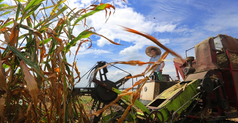 秸秆离田护蓝天