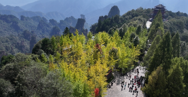 正是秋游好时节