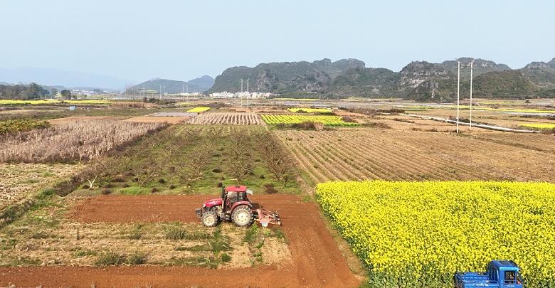 抢抓农时忙农事