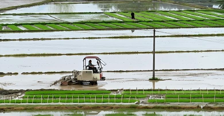 沃野春耕正当时