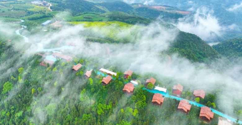 茶旅融合 生态赋能
