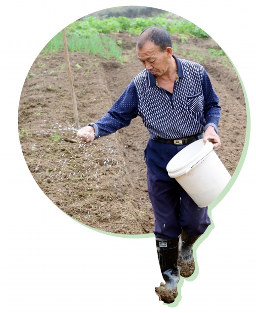 1月3日,郴州市北湖区石盖塘街道小溪村,村民在施肥,准备种香葱.