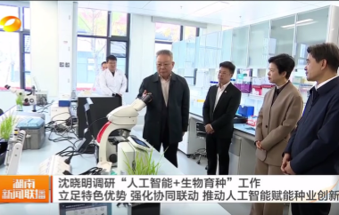 视频丨沈晓明调研“人工智能+生物育种”...