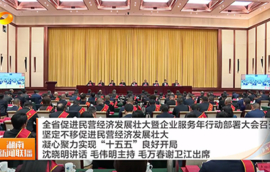 视频丨全省促进民营经济发展壮大暨企业...