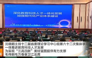 视频丨沈晓明主持十二届省委理论学习中...