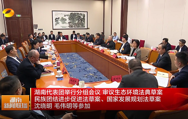 视频丨湖南代表团举行分组会议 审议生态...