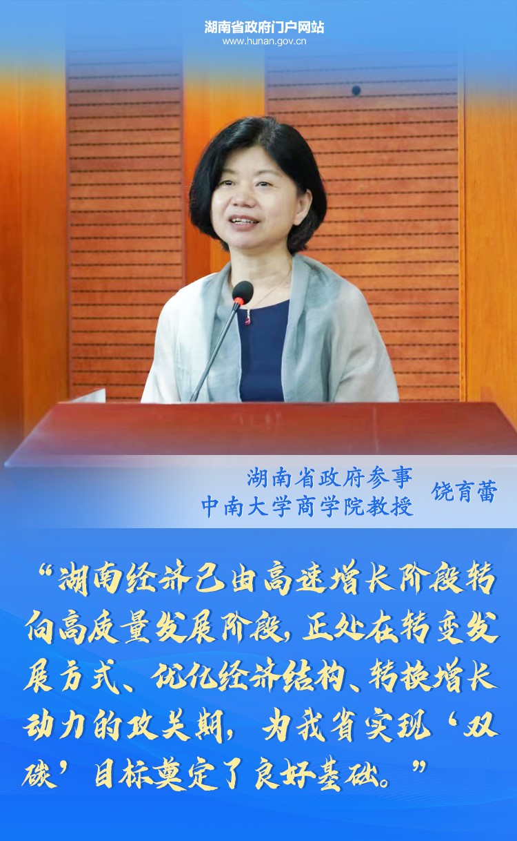 海报丨大咖们为"三高四新"出点子,说了啥?-湖南省人民政府门户网站