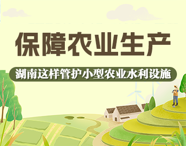 政策简读丨保障农业生产 湖南这样管护小...