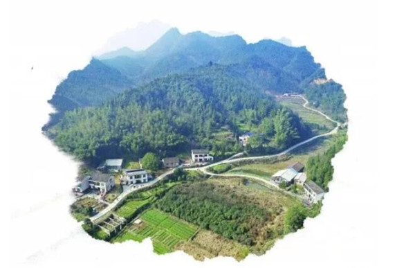 1月22日,醴陵市官庄镇官庄村,入村到户的乡村公路.